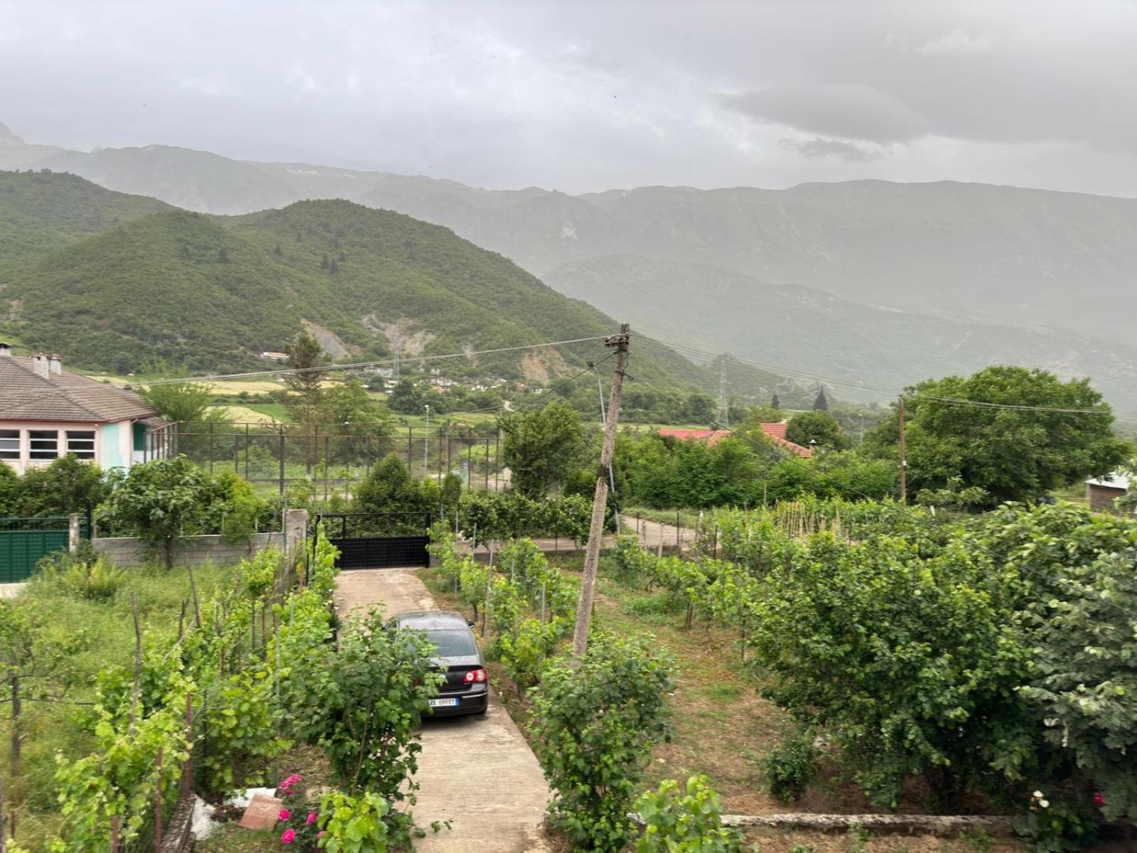 Green House Πρεμετή Εξωτερικό φωτογραφία
