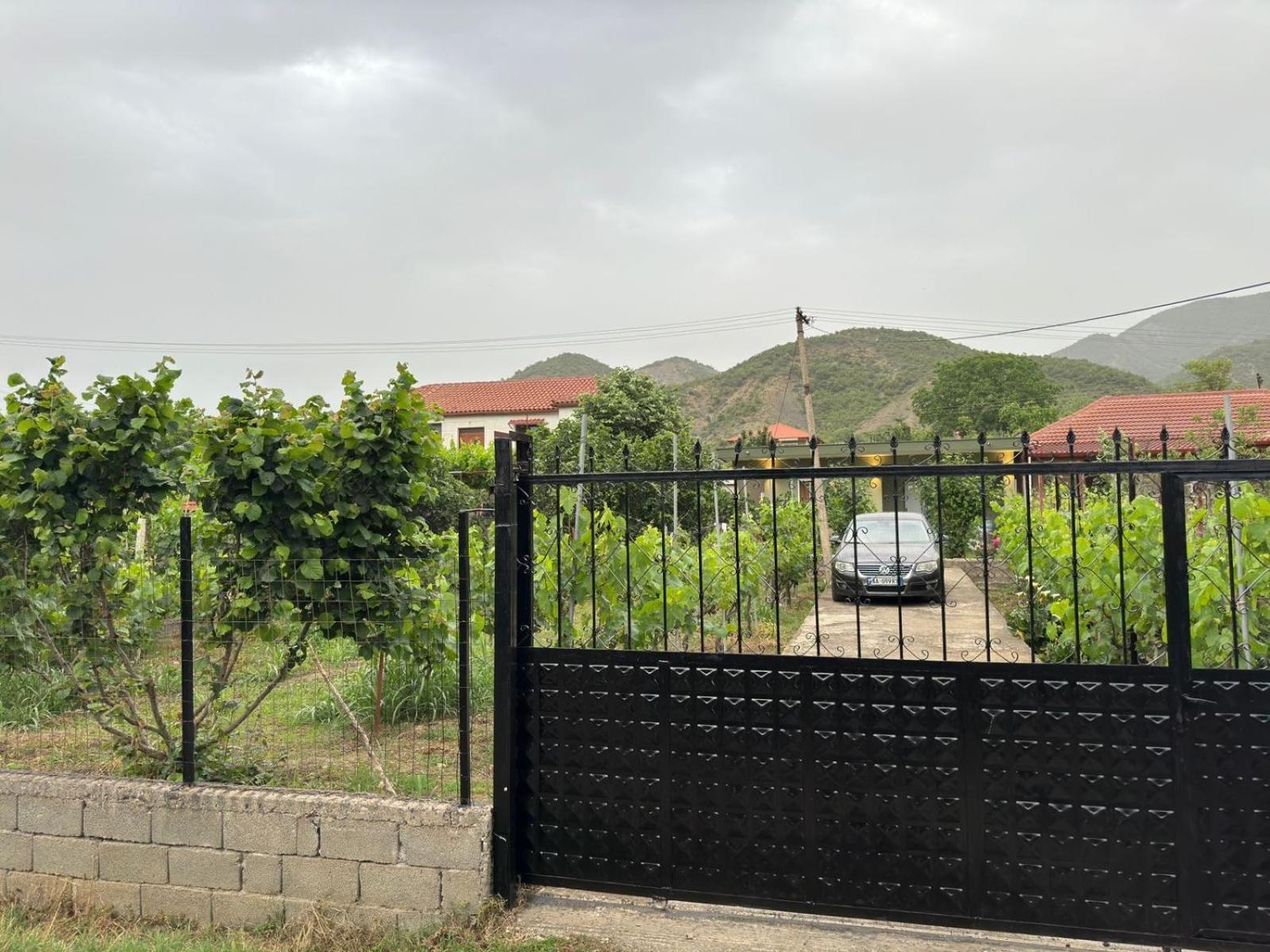 Green House Πρεμετή Εξωτερικό φωτογραφία