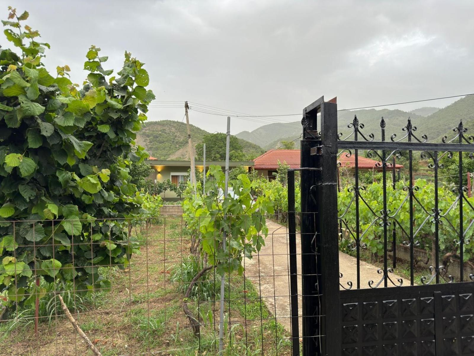 Green House Πρεμετή Εξωτερικό φωτογραφία