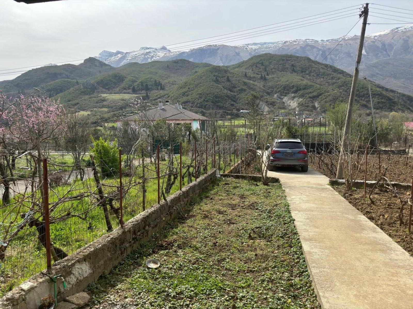 Green House Πρεμετή Εξωτερικό φωτογραφία