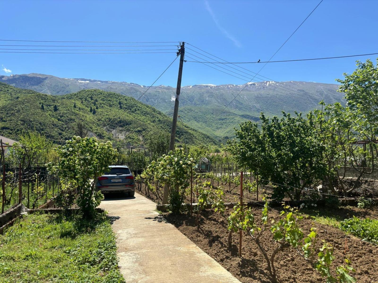 Green House Πρεμετή Εξωτερικό φωτογραφία