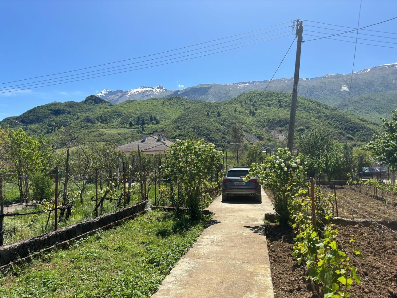 Green House Πρεμετή Εξωτερικό φωτογραφία